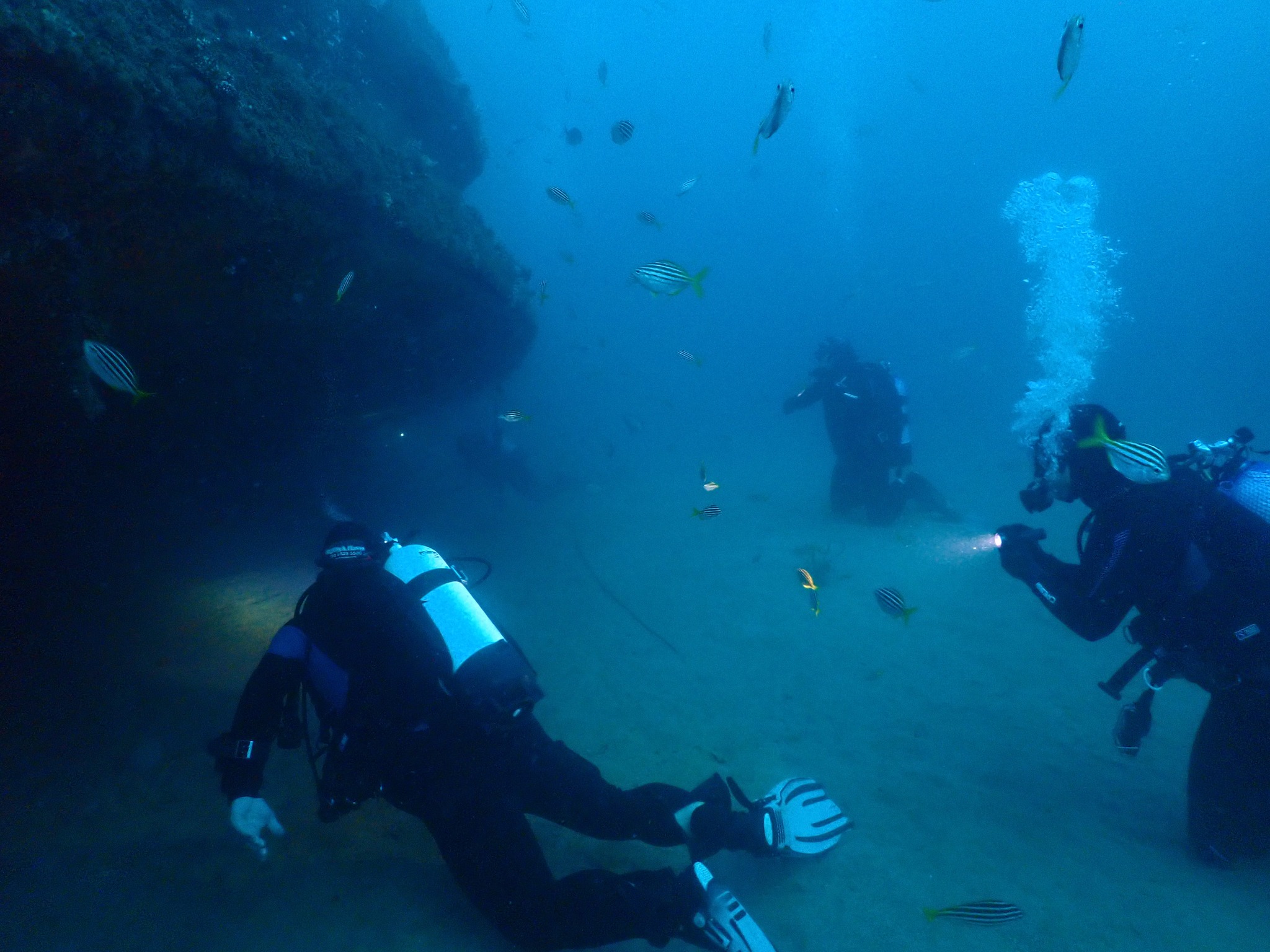 Home [scubahaven.com.au]
