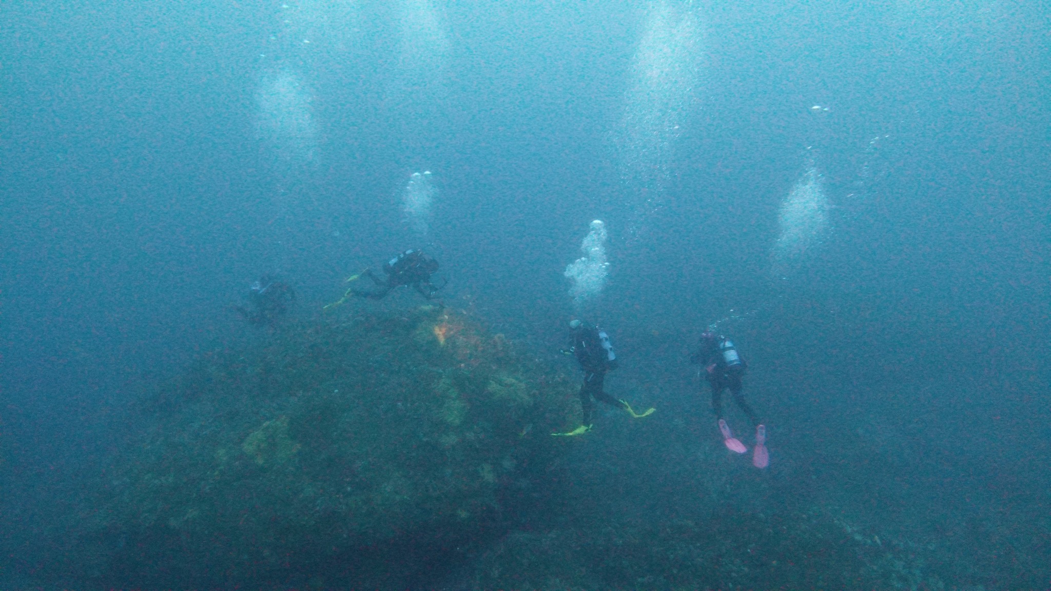 Home [scubahaven.com.au]