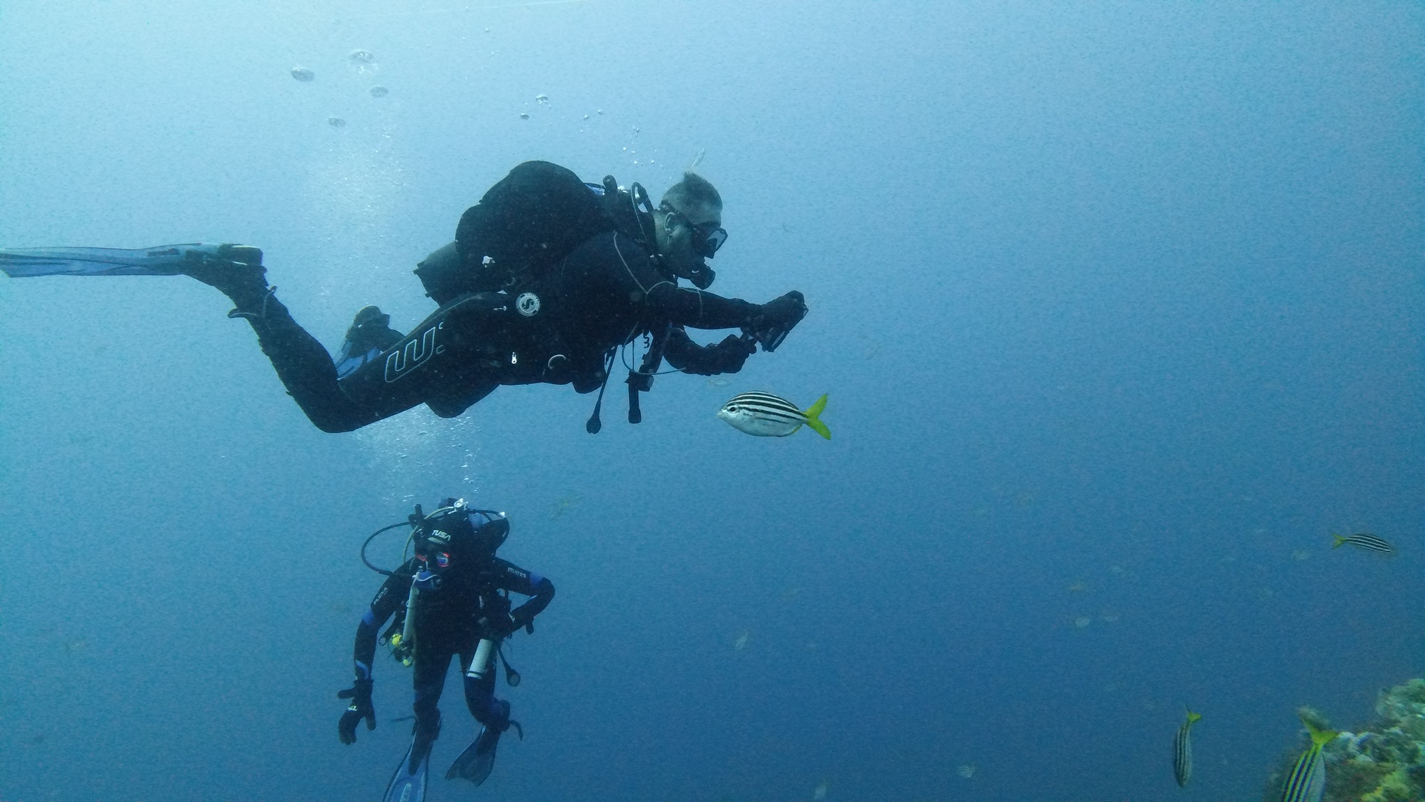 Home [scubahaven.com.au]